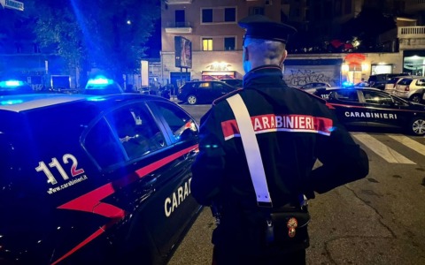 Il sindaco chiede di trovare il varano di Montichiari