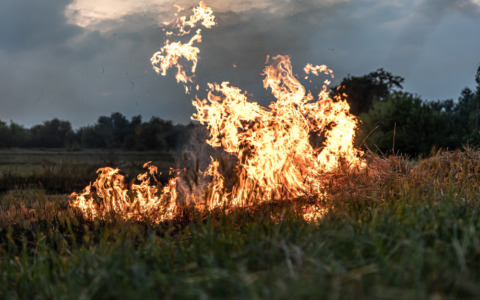 Incendio in un fienile a Toscolano Maderno: morti animali