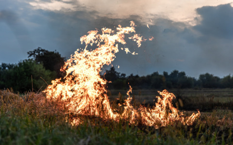 Fiamme ancora attive, il rogo ha distrutto quasi 60 ettari