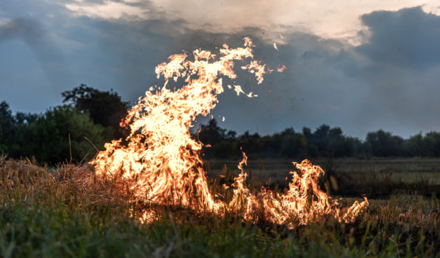 Fiamme ancora attive, il rogo ha distrutto quasi 60 ettari