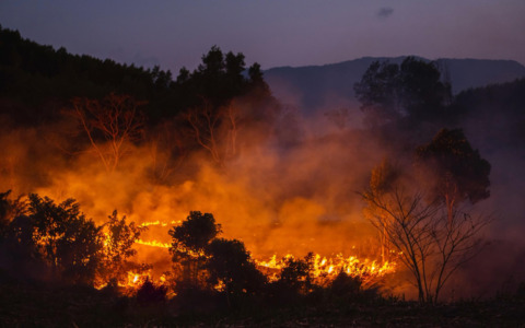 Incendio distrugge due furgoni e tre auto all’alba