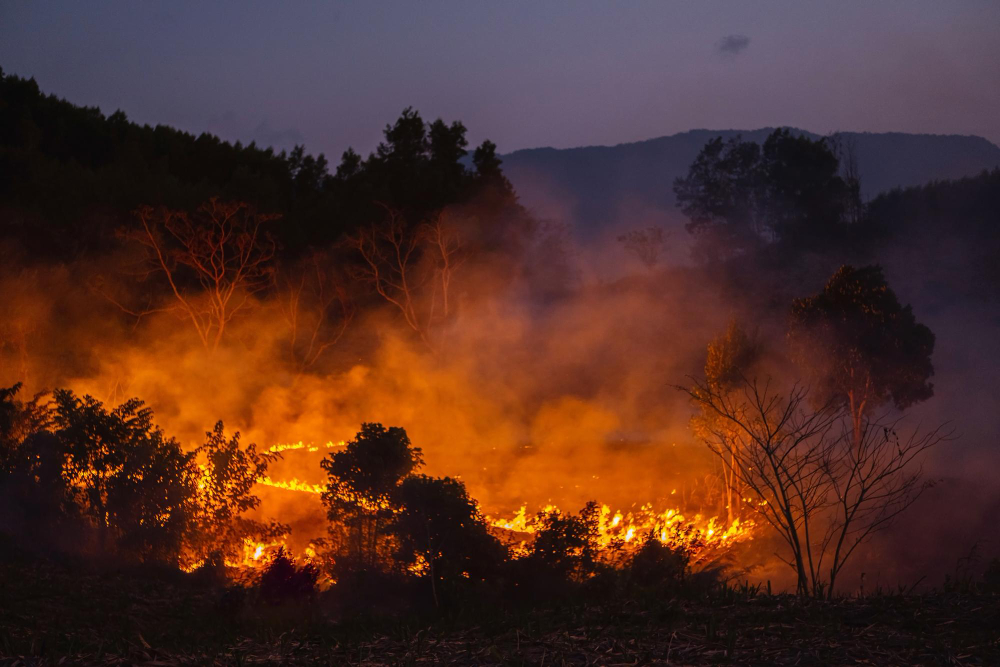 Incendio distrugge due furgoni e tre auto all’alba