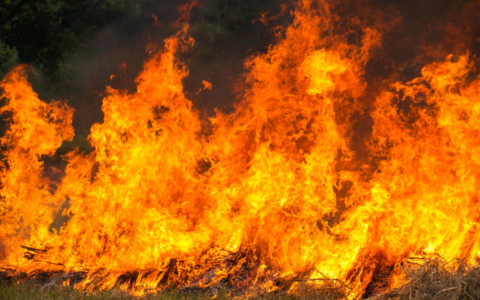 Incendio distrugge un fienile e mille rotoballe di fieno