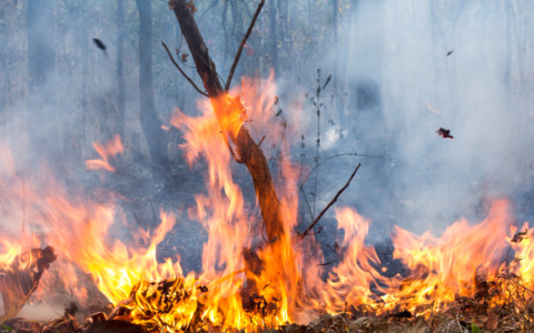 Due auto distrutte da un incendio nella notte a San Felice