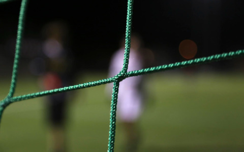 Il Tribunale dichiara il fallimento del Brescia Calcio: termina l’era Cellino